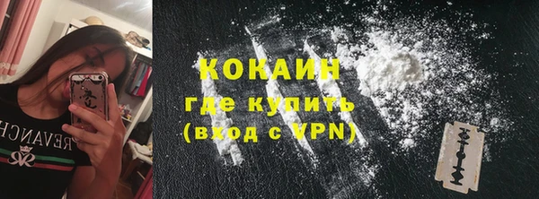 бошки Белокуриха