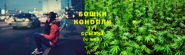 шишки Богородск