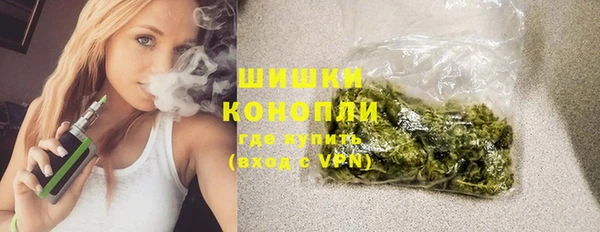 шишки Богородск